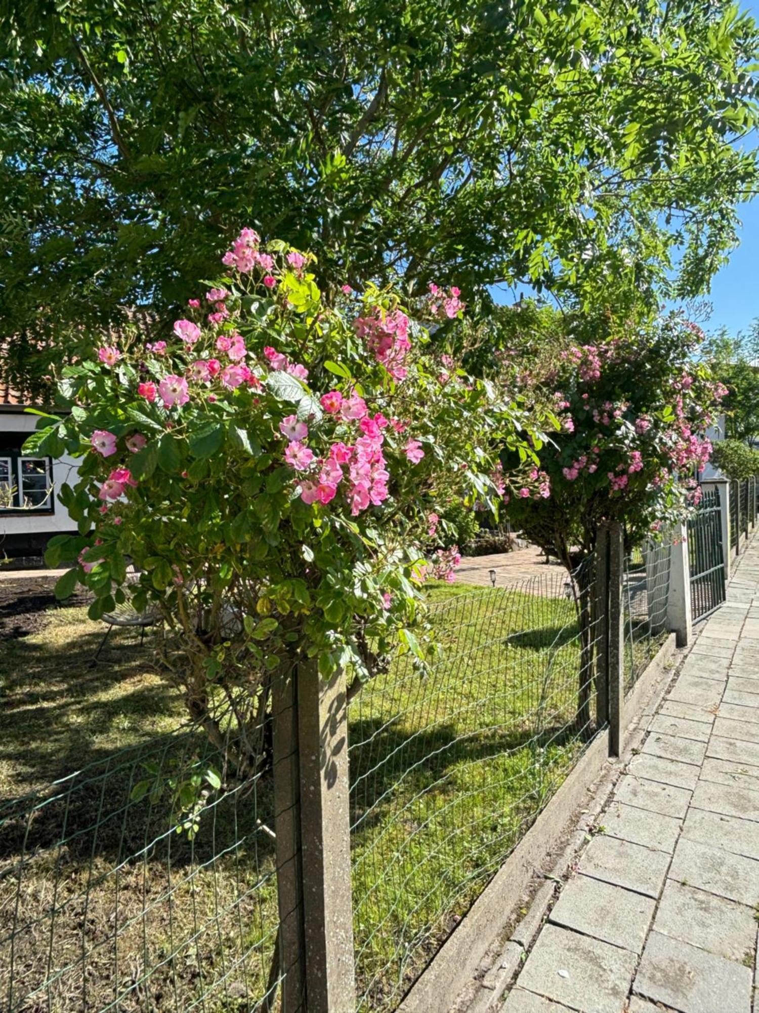 Het Relax Hoeveke Oostende Bagian luar foto